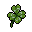 four leaf clover